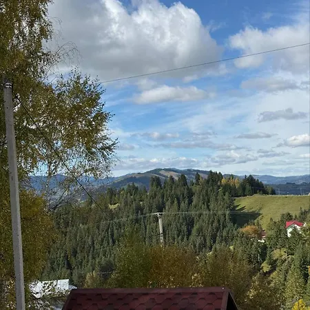 карпатський дивокрай Chalet